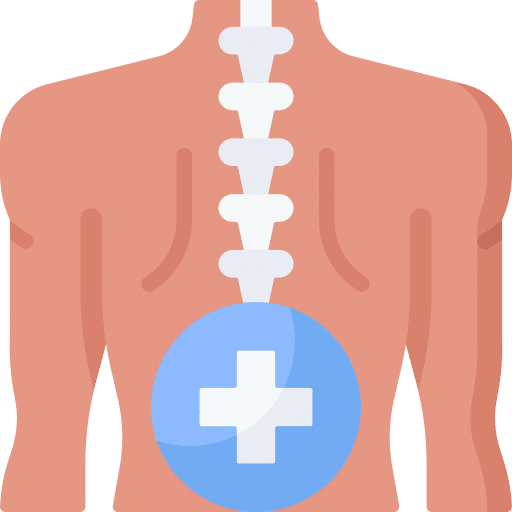 العمود الفقري